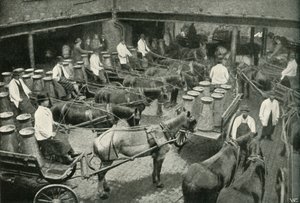 عربات التوصيل ابتداءً من السادة ، فريث وبوكوكس ، مستودع مركزي في فوكسهول ، 1902. بواسطة غير معروف