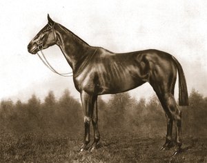 ديمور 1911. بواسطة غير معروف
