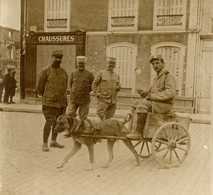 عربة الكلب ، فرنسا ، c1914-c1918 بواسطة غير معروف