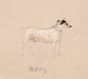 كلب ، 1800s. بواسطة غير معروف