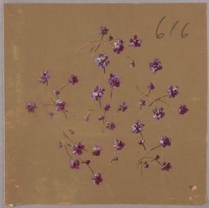الرسم ، من سان جيرمان - المجلدان 1 و 2 بواسطة غير معروف