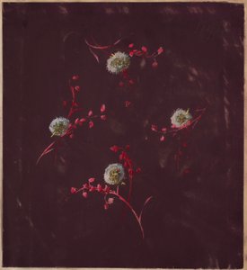 الرسم ، من سان جيرمان - المجلدان 1 و 2 ، كاليفورنيا. 1896 بواسطة غير معروف