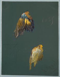 رسم ، من سان جيرمان - المجلدان 1 و 2 بواسطة غير معروف