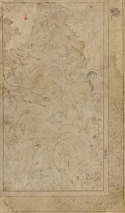 رسم للحيوانات والنباتات ، أوائل القرن السابع عشر. بواسطة غير معروف