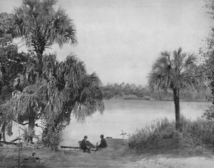 أو جالي ، النهر الهندي ، فلوريدا ، c1897. بواسطة غير معروف