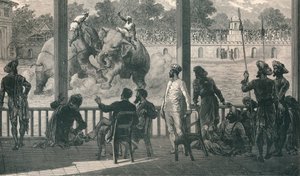 قتال الفيل في بارودا ، 1896 بواسطة غير معروف