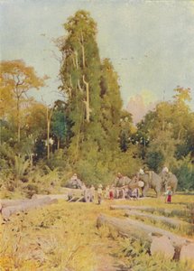 الفيلة تتراكم خشب الساج ، 1924 بواسطة غير معروف