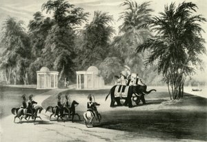 الفيلة والحرس الشخصي في حديقة باراكبور ، 1820 ، 1925. بواسطة غير معروف