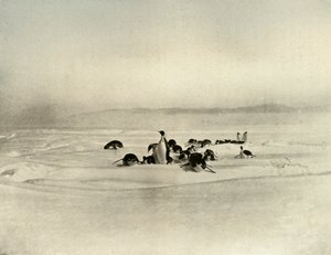 الأباطرة توبوجاننينج ، 1909 ، 1909 بواسطة غير معروف