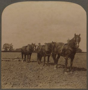 الزراعة في إنجلترا - Harrowing the Land ، 1909. بواسطة غير معروف