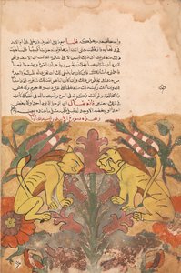 فوليو من كليلة ودمنة ، القرن الثامن عشر. بواسطة غير معروف