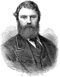 فرانسيس إدموند أنستي 1833-1874 ، طبيب إنجليزي ، 1874 بواسطة غير معروف