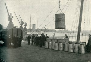 هبوط الحليب الفرنسي في ساوثهامبتون ، 1902. بواسطة غير معروف
