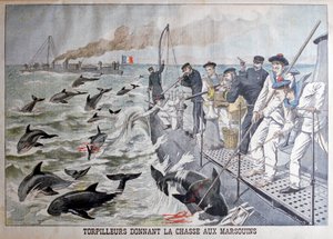 قوارب طوربيدات فرنسية تصطاد خنازير البحر ، 1903 بواسطة غير معروف