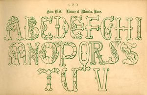 من مرض التصلب العصبي المتعدد. مكتبة مينيرفا ، روما ، 1862. بواسطة غير معروف
