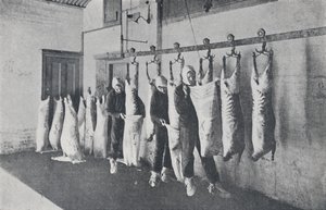 اللحوم المجمدة ، 1923. بواسطة غير معروف