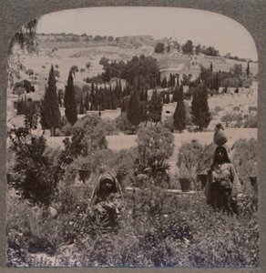حديقة الجثمانية وجبل الزيتون من الحدائق اليونانية ، c1900 بواسطة غير معروف
