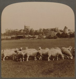 منظر عام لقلعة وندسور ، إنجلترا ، 1896. بواسطة غير معروف