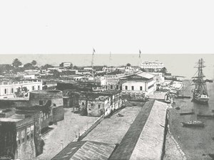 منظر عام للعاصمة ، زنجبار ، 1895. بواسطة غير معروف