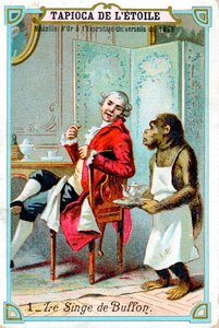 جورج لويس لوكلير ، Comte de Buffon ، عالم الطبيعة الفرنسي في القرن الثامن عشر ، c1890 بواسطة غير معروف