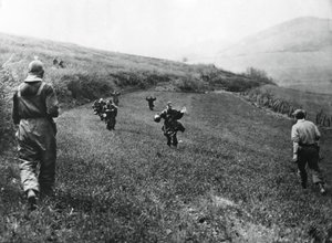 استسلام القوات الألمانية لجنود الجيش الأمريكي الأول ، بالقرب من Elsborn ، ألمانيا ، أبريل 1945 بواسطة غير معروف