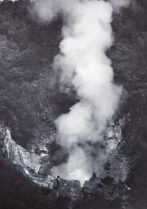 Wairakei Geyser ، أواخر القرن التاسع عشر وأوائل القرن العشرين. بواسطة غير معروف