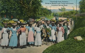تحية من جامايكا. الذهاب إلى السوق مع البطاطا والبطاطا. طريق الربيع المستمر ، 1913. بواسطة غير معروف