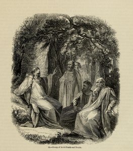 مجموعة من Archdruids و Druids من كتاب Old England: A Pictorial Museum ، 1845 بواسطة غير معروف