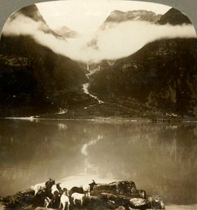 الجليديات الجليدية تتلألأ فوق السحب المنجرفة ، عبر البحيرة الهادئة Olden ، النرويج ، c1905. بواسطة غير معروف