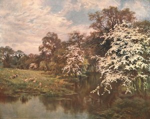 أزهار الزعرور ، c1899 ، c1902. بواسطة غير معروف
