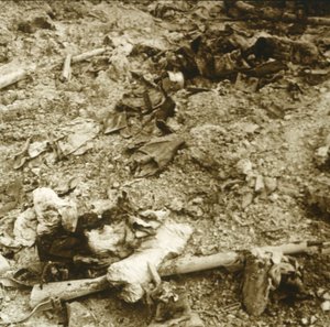 بقايا بشرية ، فردان ، شمال فرنسا ، c1914-c1918 بواسطة غير معروف