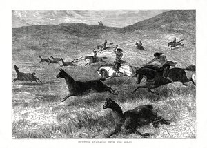 صيد Guanacos مع Bolas ، أمريكا الجنوبية ، 1877 بواسطة غير معروف