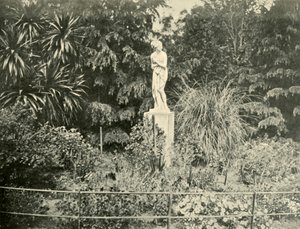 في حدائق فيتزروي ، ملبورن ، 1901. بواسطة غير معروف