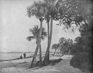 النهر الهندي ، فلوريدا ، c1897. بواسطة غير معروف