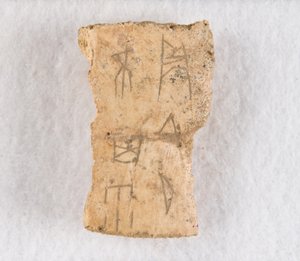 جزء عظمي منقوش أوراكل عظم ، أواخر عهد أسرة شانغ ، كاليفورنيا. 1300-1050 قبل الميلاد. بواسطة غير معروف