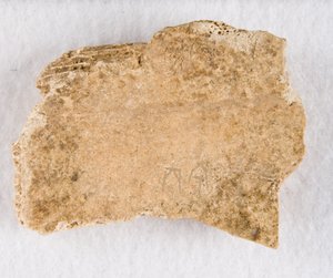 جزء عظمي منقوش أوراكل عظم ، أواخر عهد أسرة شانغ ، كاليفورنيا. 1300-1050 قبل الميلاد. بواسطة غير معروف