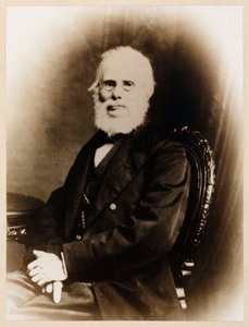جون سترينغفيلو ، رائد طيار إنجليزي ، عام 1880 بواسطة غير معروف