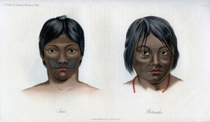 جوري وبوتوكودوس ، من أمة برازيليو غواراني ، 1848 بواسطة غير معروف
