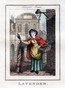 لافندر ، تمبل بار ، لندن ، 1805 بواسطة غير معروف