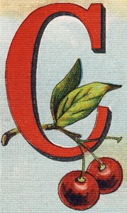 حرف ج: كرز. نقش في "Alphabet de ma petite fille". برناردين-بيشيت وفلس ، بائعون وناشرون ، باريس ، حوالي عام 1895. ألبوم غير قابل للكسر على قماش. Bibliotheque des Bebes. 12 صفحة. ألبوم يحتوي على طريقة قراءة و abece توضيحية بواسطة غير معروف