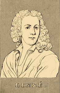 لنا ، 1707-1778 ، 1830. بواسطة غير معروف