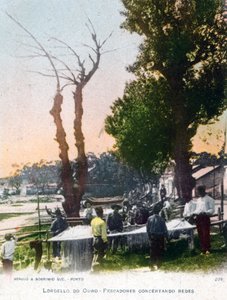 لورديلو دو أورو ، بالقرب من بورتو ، البرتغال ، 1903 بواسطة غير معروف