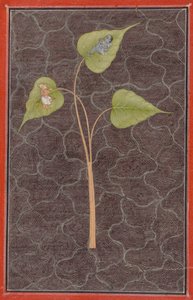 Markandeya عرض كريشنا في المحيط الكوني ، ج. 1680. بواسطة غير معروف