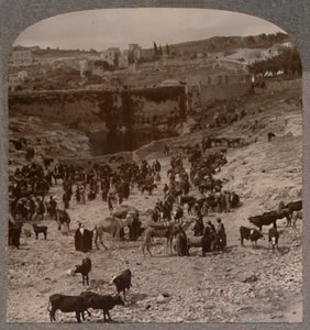 يوم السوق في بركة Gihon ، c1900 بواسطة غير معروف
