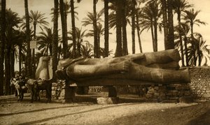ممفيس - التمثال الضخم لرعمسيس الثاني ، c1918-c1939. بواسطة غير معروف