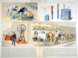 صالة حلب مجهزة بآلة شفط الشوك وحلب النبض ، 1899 بواسطة غير معروف