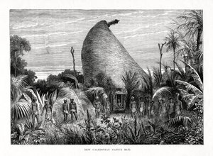 كوخ نيو كاليدونيان الأصلي ، جنوب غرب المحيط الهادئ ، 1877 بواسطة غير معروف