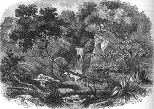 نيوزيلندا المناظر الطبيعية ، c1880 بواسطة غير معروف