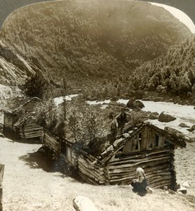 منازل خشبية قديمة في Bratslandsdal ، مع نمو الأشجار على أسطح مغطاة بالحلويات ، النرويج ، c1905. بواسطة غير معروف