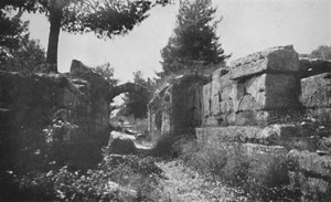 أولمبيا - مدخل الميدان الرياضي ، 1913 بواسطة غير معروف